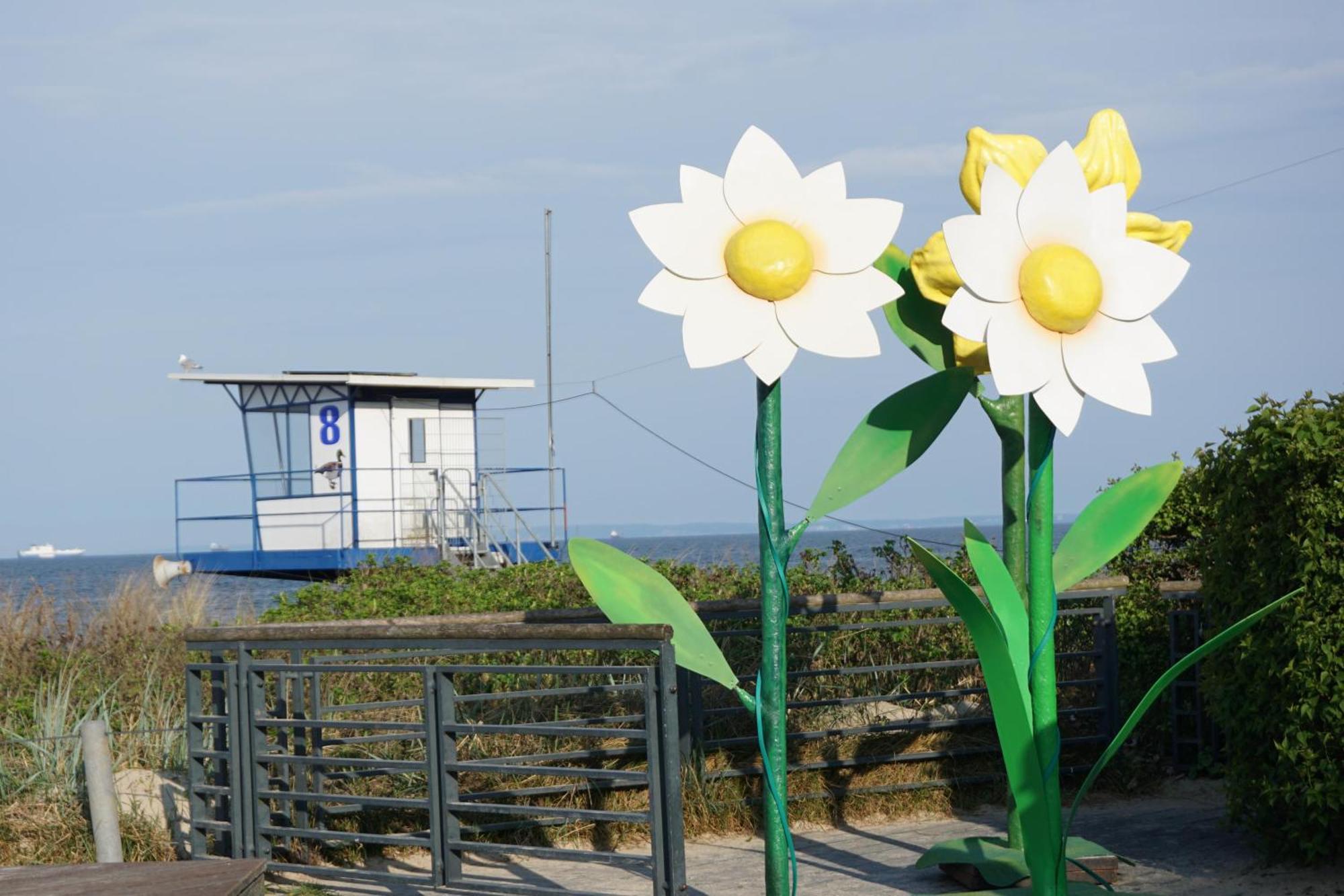 Strandoase - Fewo 21 Ostseebad Heringsdorf Exterior foto
